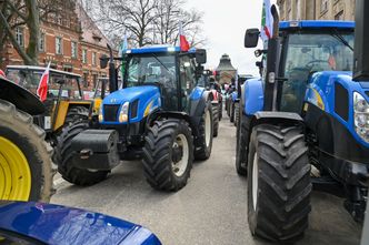Kryzys zbożowy. Izba Zbożowo-Paszowa: obietnice rządu usztywniły rolników