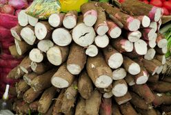Co można zrobić z manioku? Kulinarny skarb z tropików