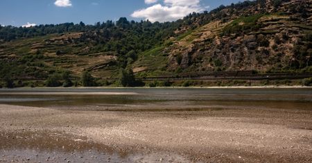 Niemcy mają problem. Jest najgorzej od 1931 roku