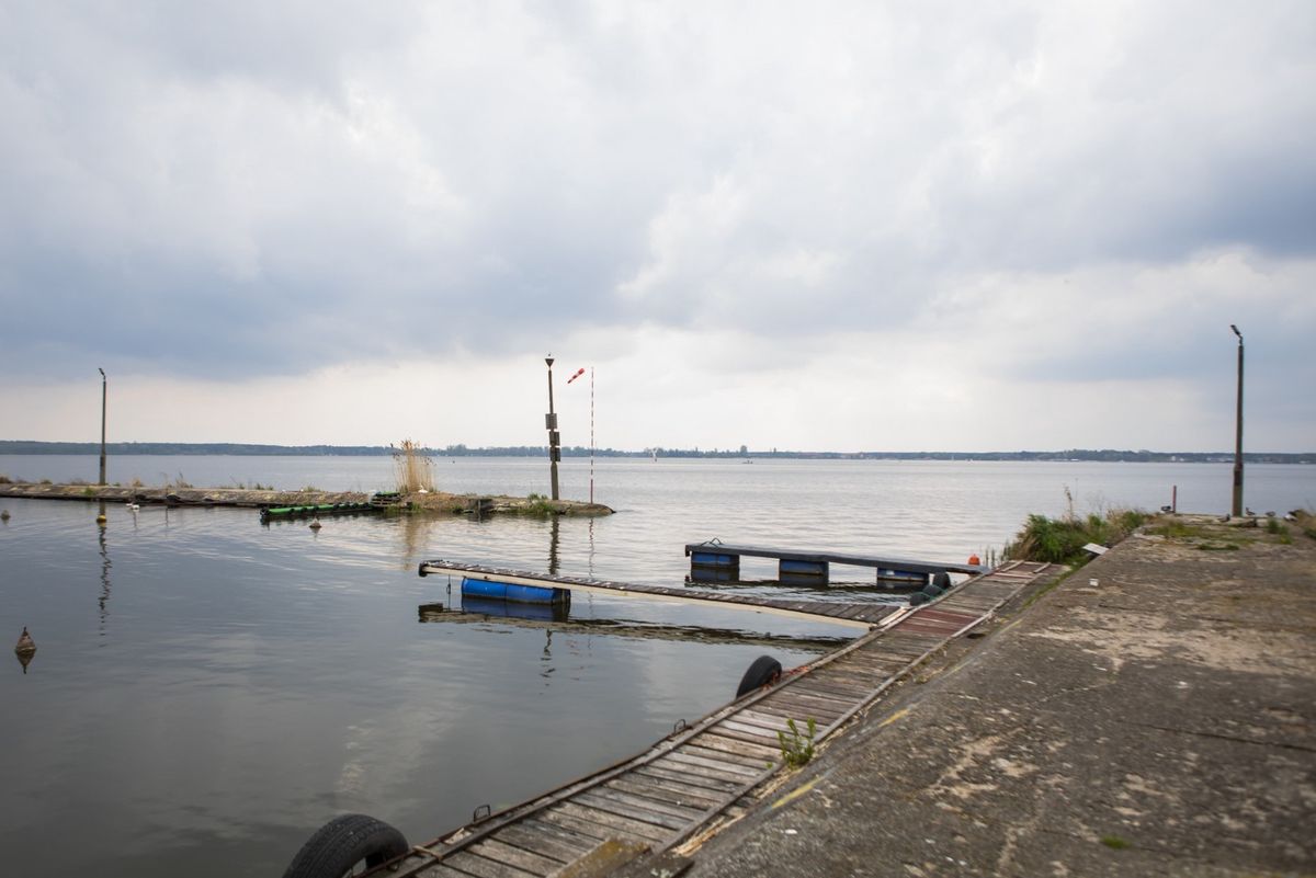 Z Jeziora Zegrzyńskiego wyłowiono rybę przypominającą piranię