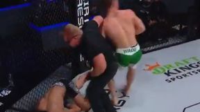 Ciężki nokaut! Chris Wade zdemolował rywala na PFL 4 [WIDEO]