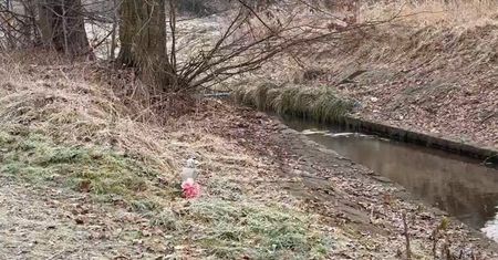 Pokazali nagranie z miejsca zbrodni w Jeleniej Górze. "To bezpieczna okolica, jesteśmy w szoku"