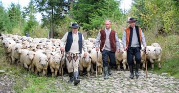 XX Polaniarski Osod na Siwej Polanie. Główną częścią był redyk