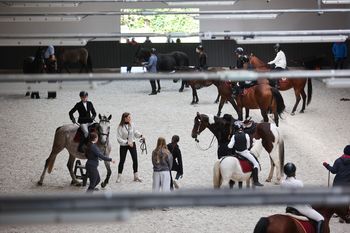 Kraków: Otwarto nowoczesną halę jeździecką Uniwersytetu Rolniczego i ośrodek animaloterapii