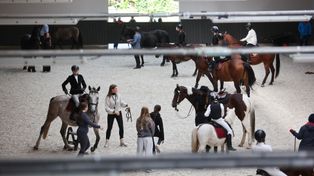 Kraków: Otwarto nowoczesną halę jeździecką Uniwersytetu Rolniczego i ośrodek animaloterapii
