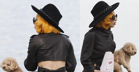 Lady Gaga z pudelkiem... (ZDJĘCIA)