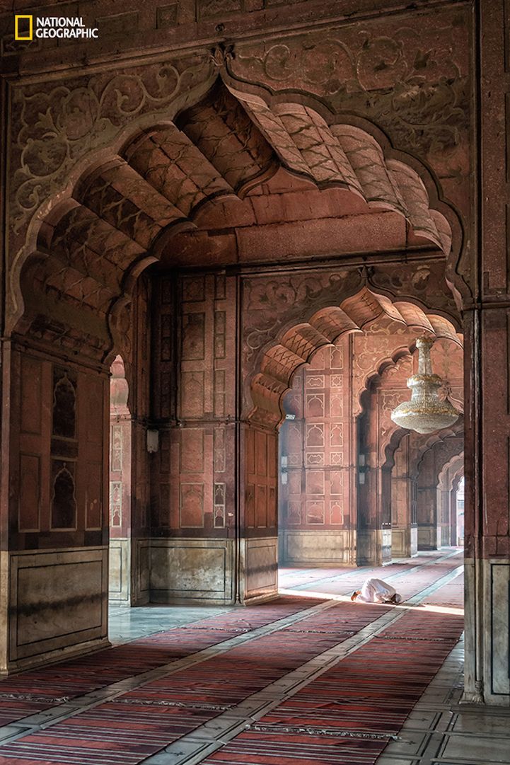 National Geographic Photo Contest 2015 - galeria pierwszych imponujących zdjęć zgłoszonych do konkursu 7