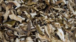 Grzyby, które leczą? Lekarka powiedziała, jak działają na organizm