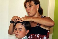 Michelito ujarzmia byki