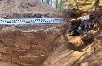 Liczy ok. 2 tys. lat. Niezwykłe odkrycie w puszczy