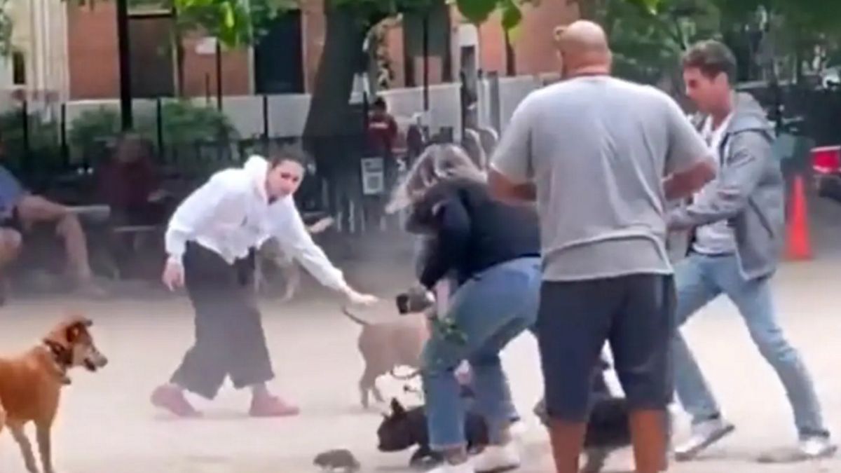 Psy przestraszyły się szczura