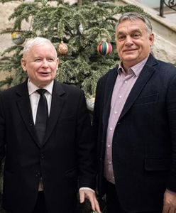 PiS szykuje się do budowy nowej siły w Europie? "Duże ryzyko Kaczyńskiego"