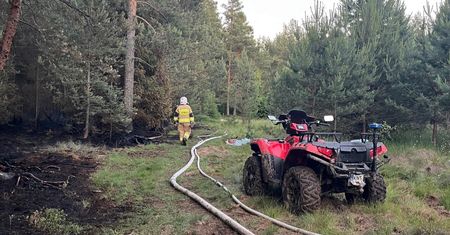 Najwyższy stopień zagrożenia w polskich lasach. "Wilgotność poniżej 10 proc."