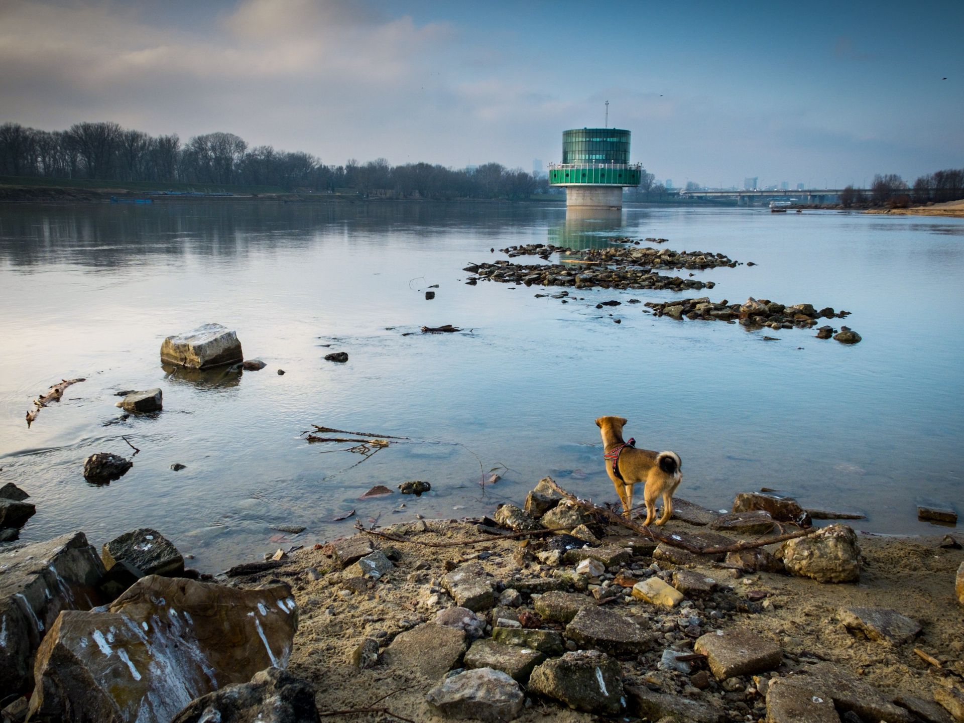 Lightroom Mobile obsługuje pliki RAW, sprawdzamy jak to działa 3