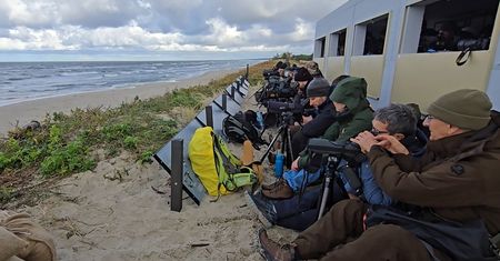 To miejsce przeżywa wielkie oblężenie. Tłoczą się i marzną, aby wszystko zobaczyć