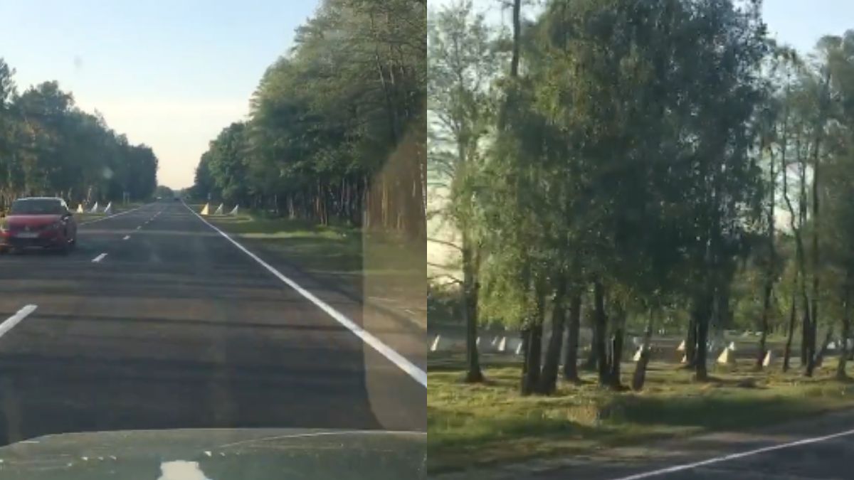 Fot. Twitter/ Hanna Liubakova