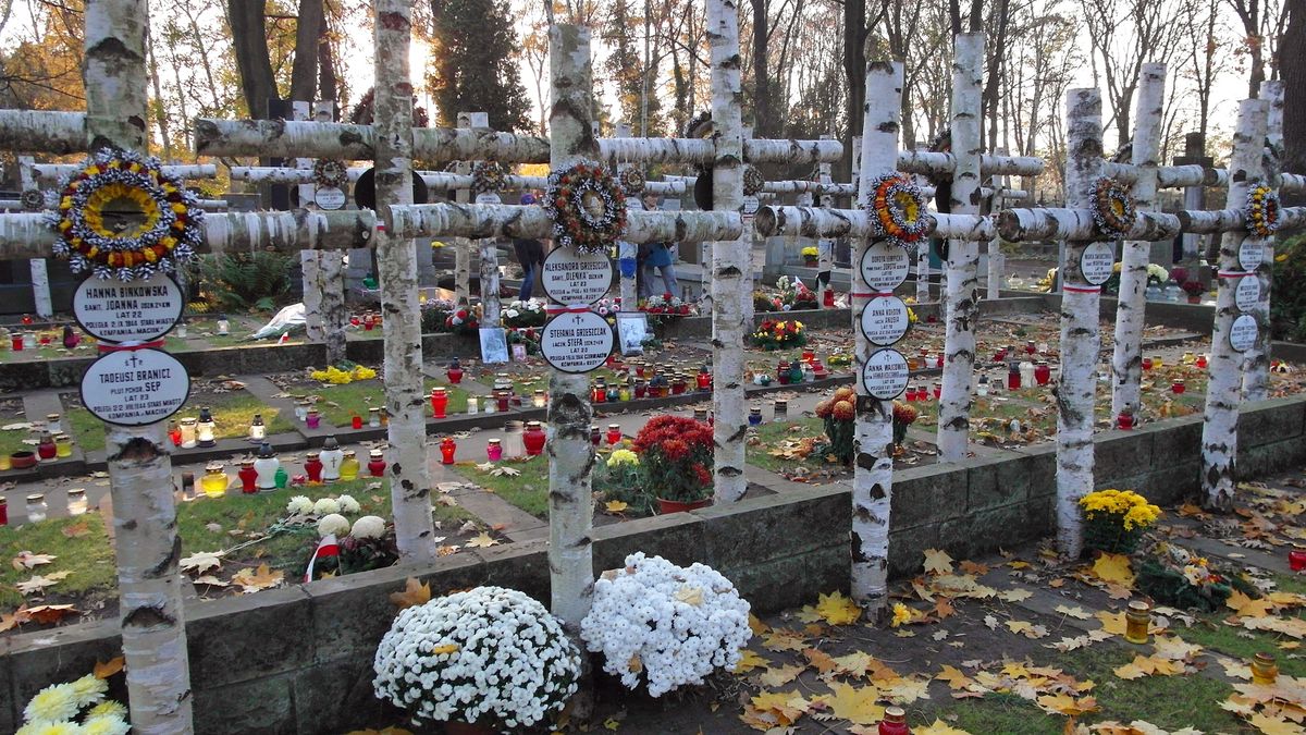 Brzozowe krzyże w kwaterze harcerzy i żołnierzy na Powązkach Wojskowych