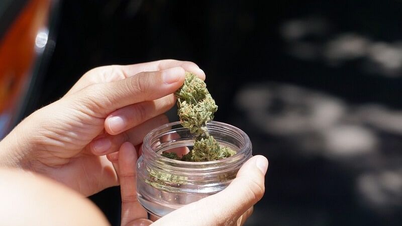 medyczna marihuana narkotyki