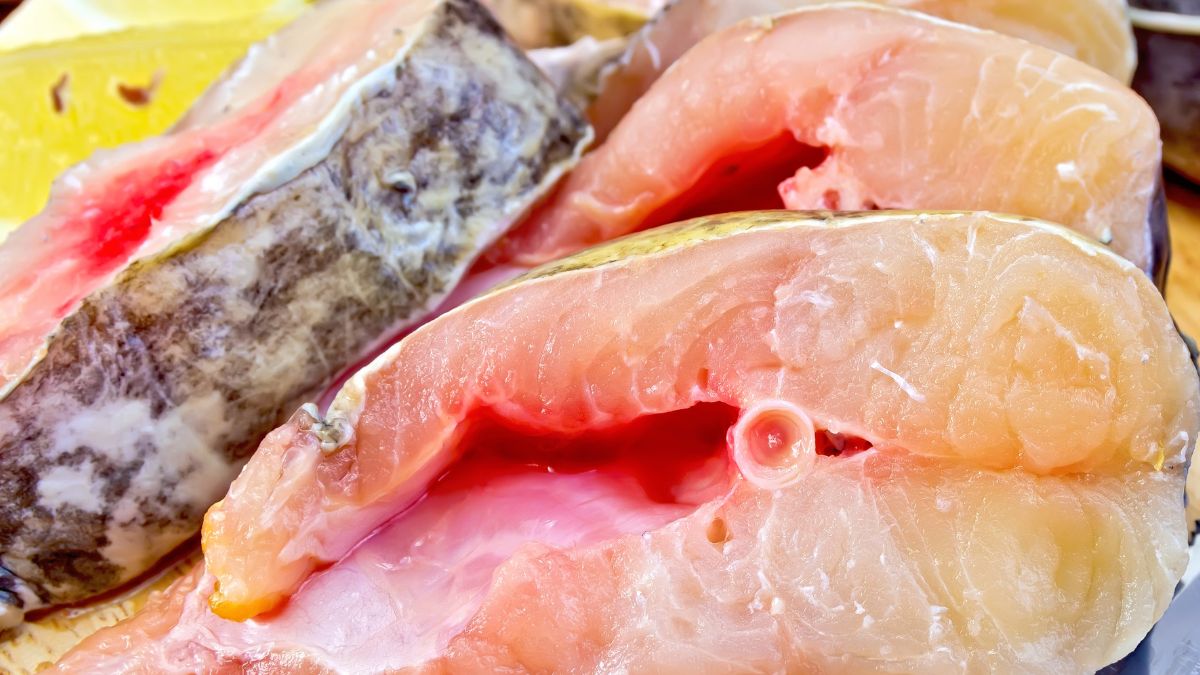 Sum prawie w ogóle nie ma ości