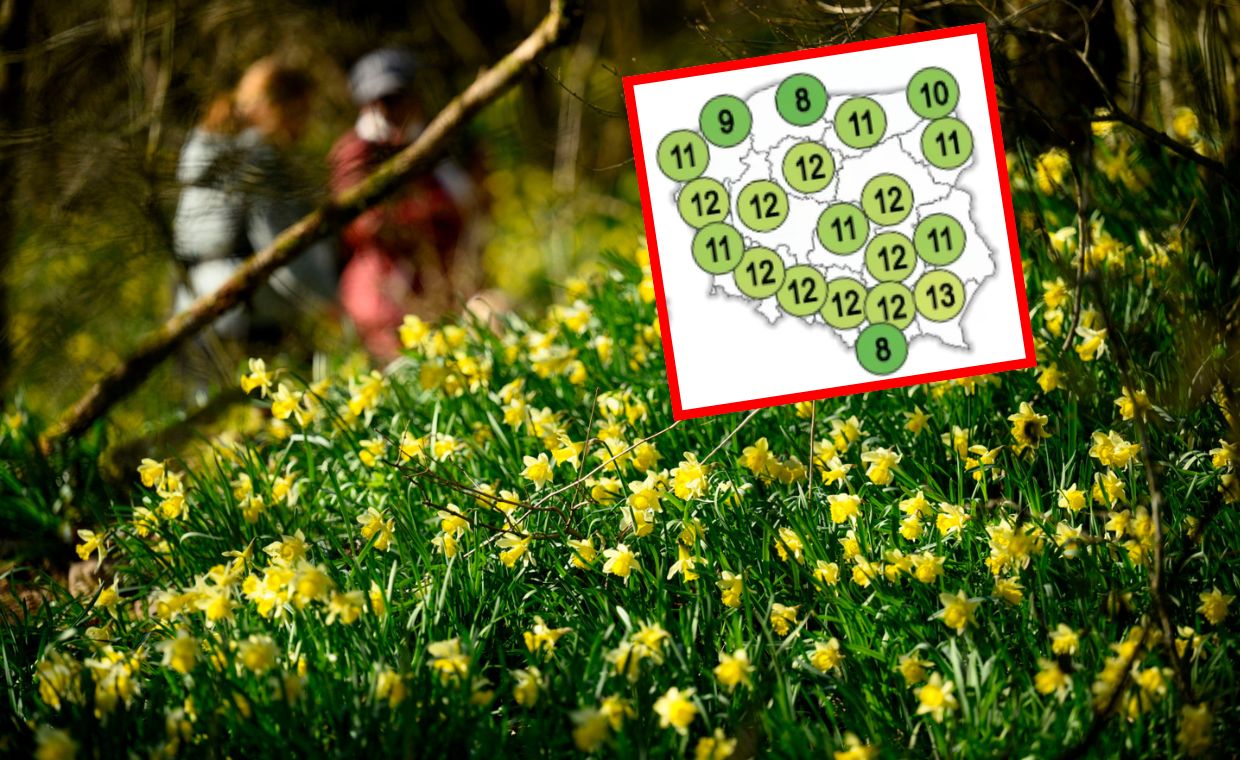 Nowa prognoza długoterminowa. Wiadomo, jaka pogoda w kwietniu