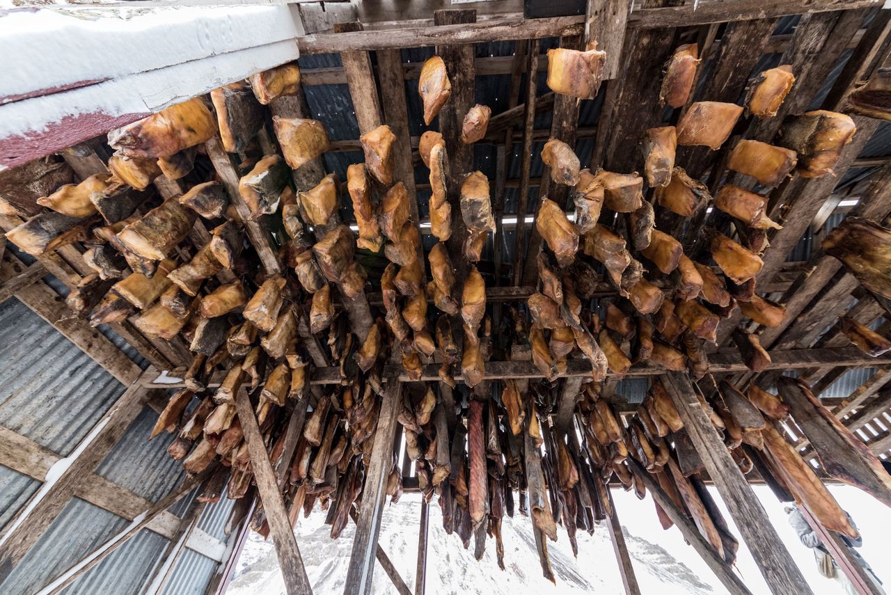 To jedno z najbardziej kontrowersyjnych dań świata