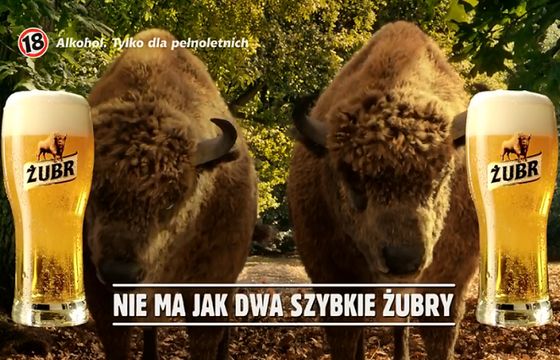 „Nie ma jak dwa szybkie Żubry” w reklamie piwa Żubr (wideo)