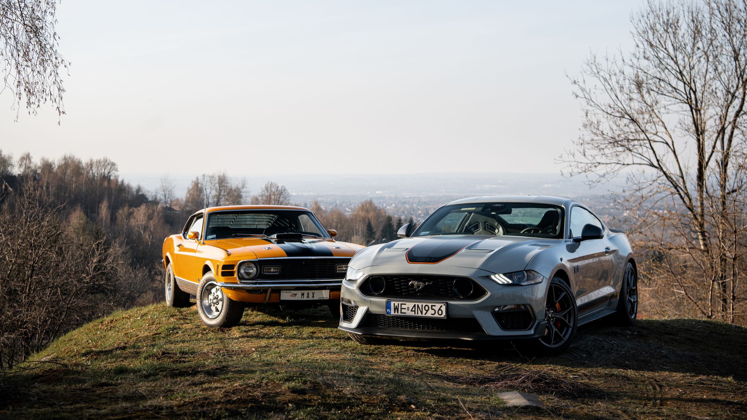 Ford Mustang Mach 1 vs. Mustang Mach 1 428 Cobra Jet