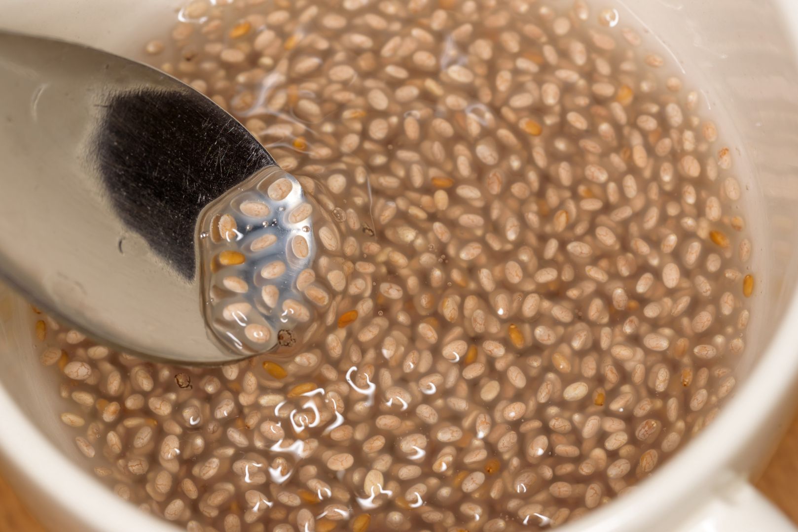 Chia