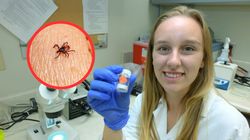 Chcą zatrzymać bakterie w ciele kleszcza. Rewolucyjne odkrycie