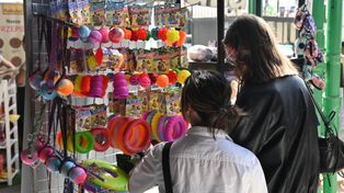 Szukasz gadżetów dla pupila? Sprawdź targi dla zwierzaków we Wrocławiu