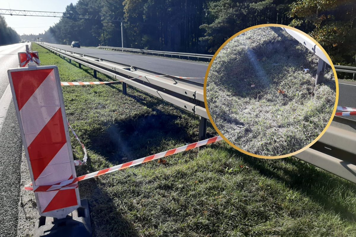 Setki ogromnych zapadlisk. Jest reakcja Ministerstwa Klimatu