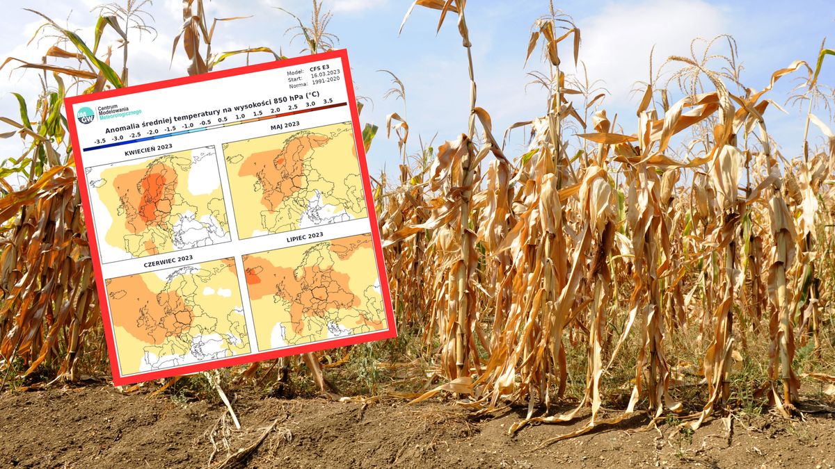 Zdjęcie ilustracyjne