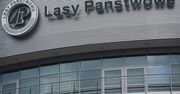 Lasy Państwowe chcą być eko. Ogłosiły przetarg na auta elektryczne