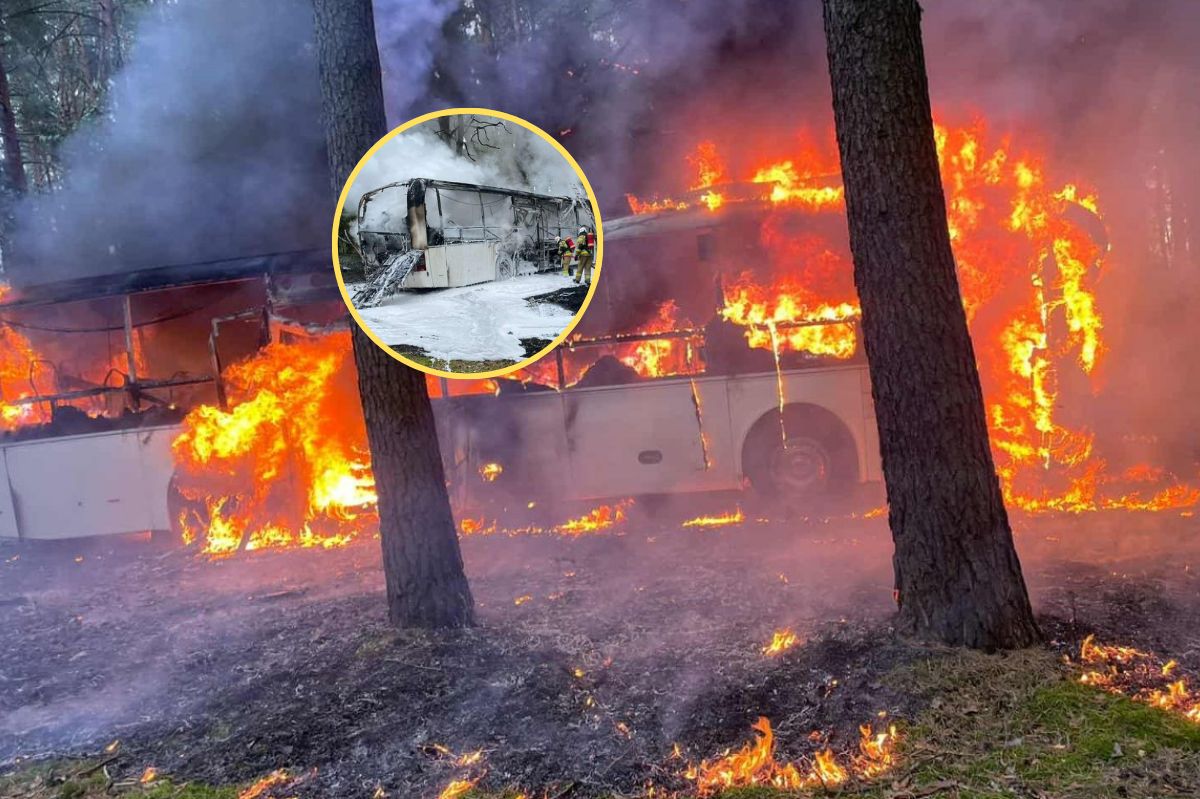Wiózł 40 przedszkolaków. Kierowca autobusu zapobiegł tragedii