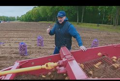 Rąbał drewno, teraz zbiera ziemniaki. Teledysk z udziałem "prezesa"