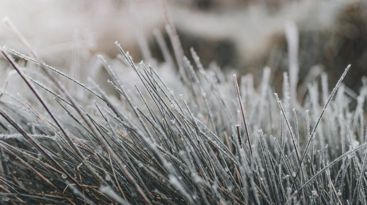 Poranny lekki przymrozek przyniesie… słońce w ciągu dnia?