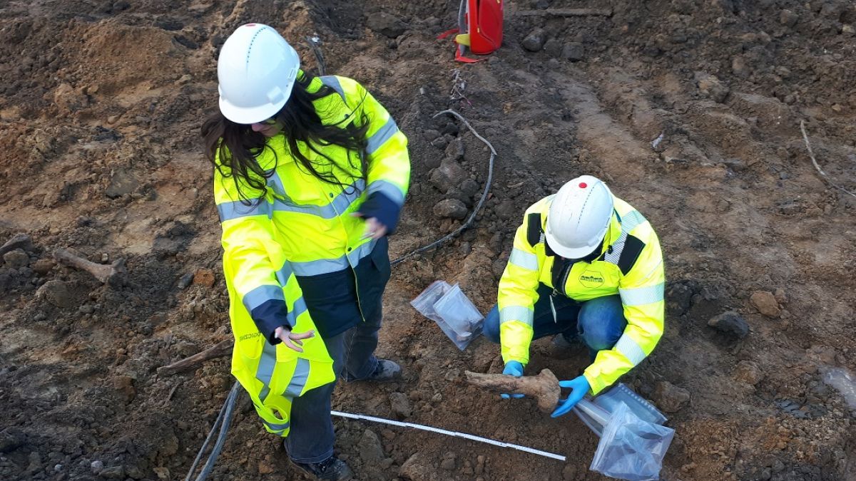 Niezwykłe odkrycie archeologiczne