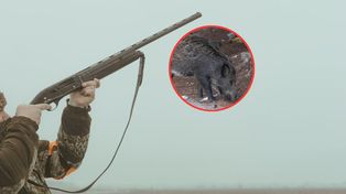 Myślał, że to dzik. Myśliwy usłyszał zarzut zabójstwa 68-latka