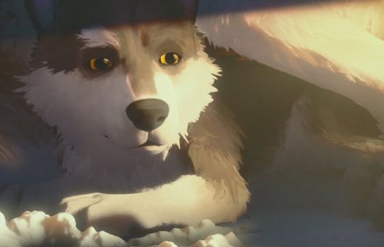 Premiera filmu "Biały Kieł" w kinach od 7 września