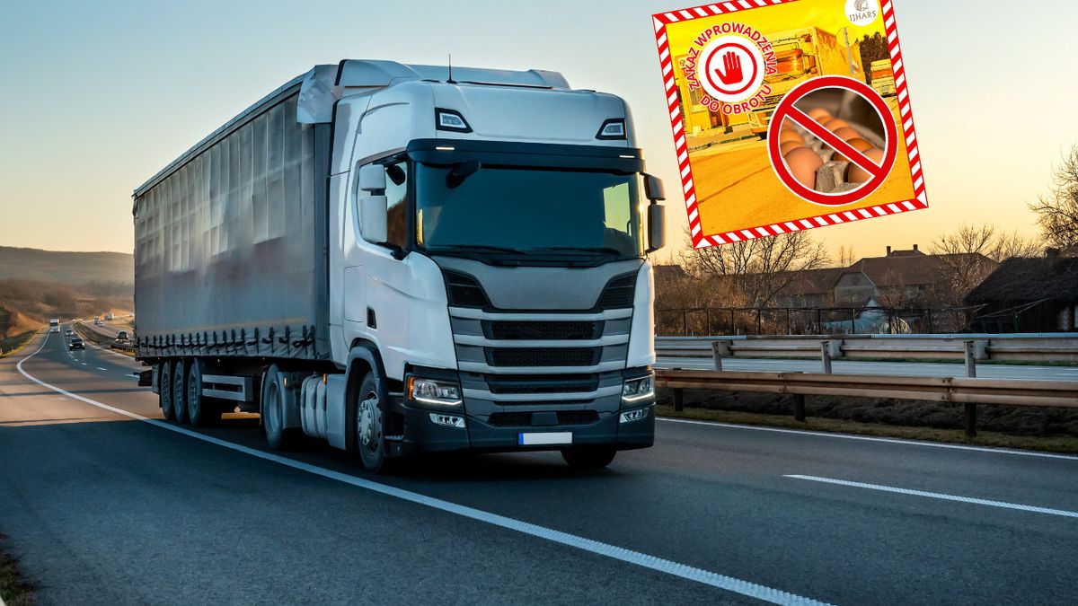 Służby zatrzymały ogromną partię jaj z Mołdawii