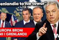 Grenlandia celem USA. Mocna reakcja Europy na plan Trumpa