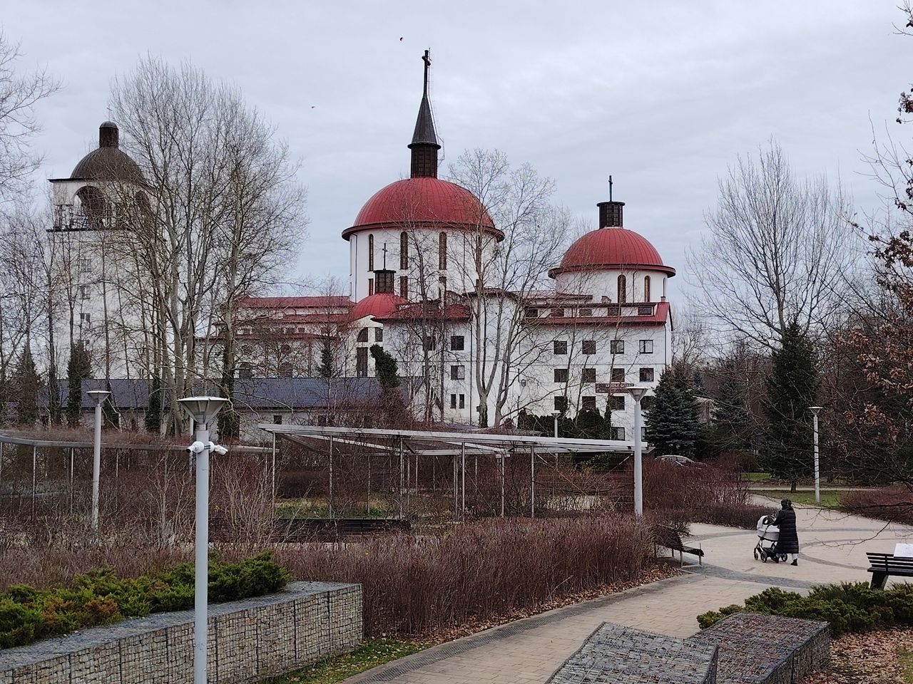 Obraz