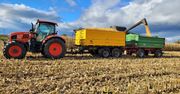 Po ile kukurydza w skupie? Aktualne stawki w województwach i perspektywy