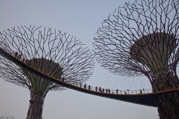 Najwyższy poziom alarmu. Toksyczny dym nad Singapurem