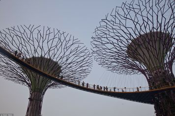 Najwyższy poziom alarmu. Toksyczny dym nad Singapurem