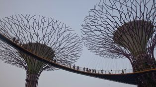 Najwyższy poziom alarmu. Toksyczny dym nad Singapurem