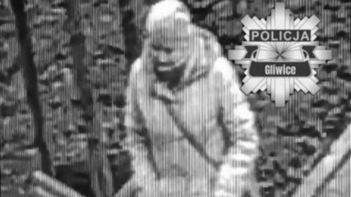 Tragiczny finał poszukiwań. Seniorka z Gliwic nie żyje