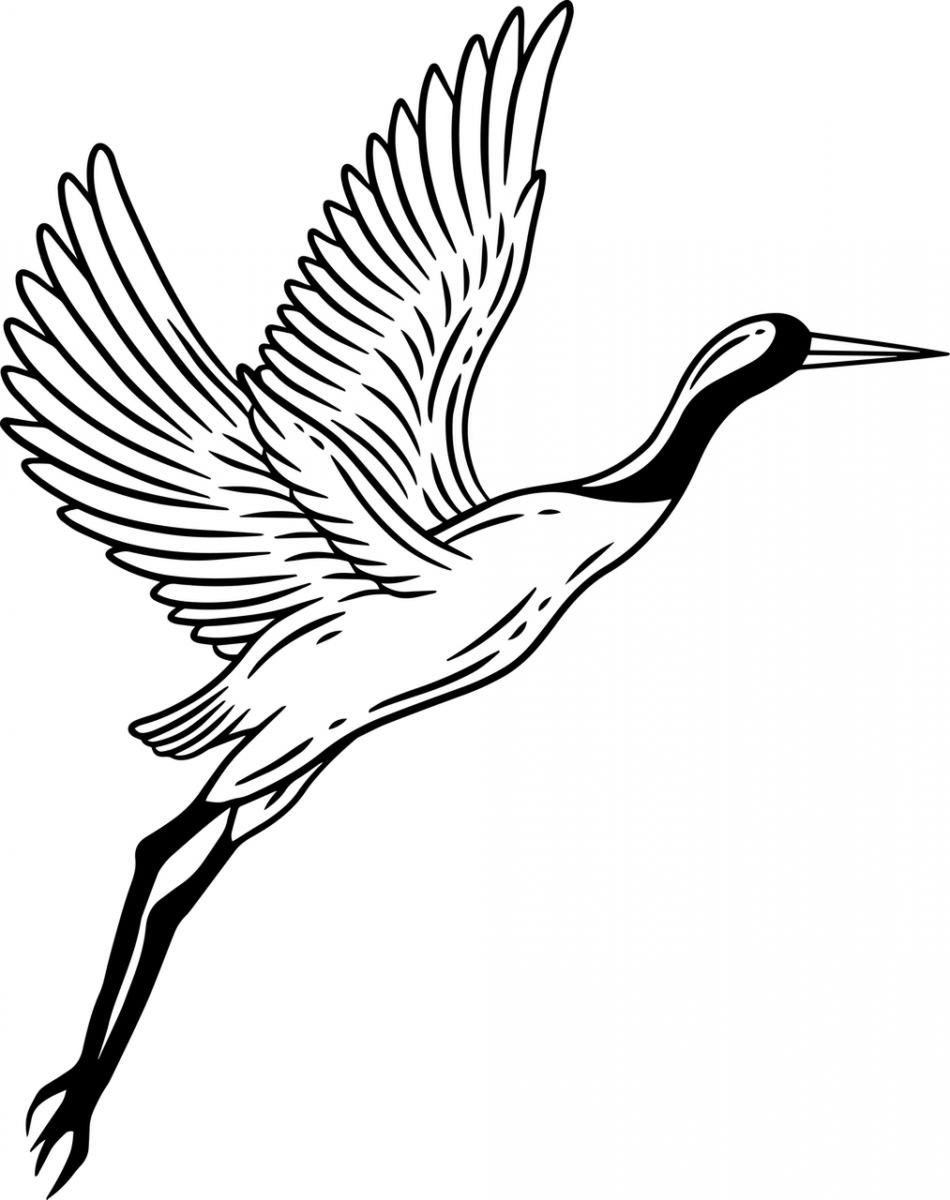 Źródło zdjęcia: stock.adobe.com