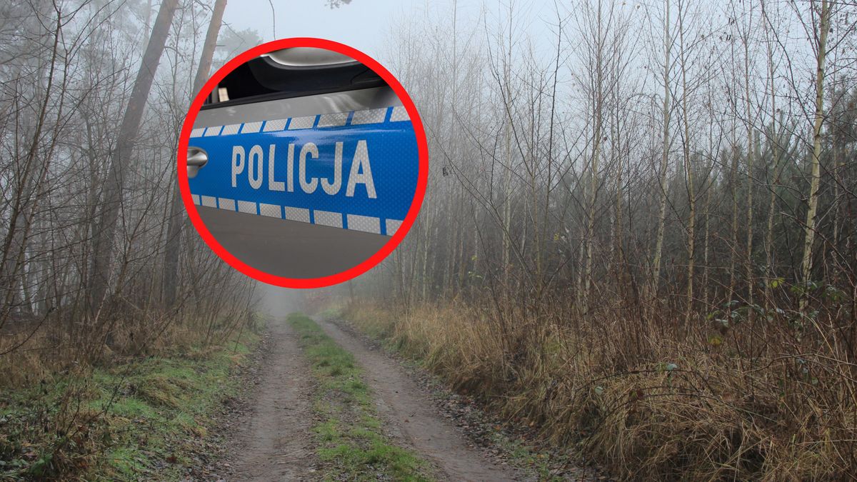 Makabryczne odkrycie w zaroślach.