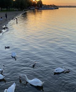 Warszawa. Letniska. Sentymentalna podróż po linii otwockiej